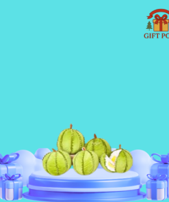 Gấu bông sầu riêng tách múi